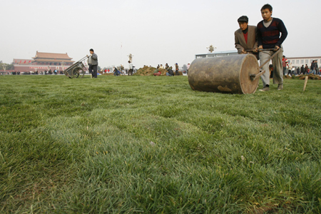 Imported grass grows at Tiananmen Square
