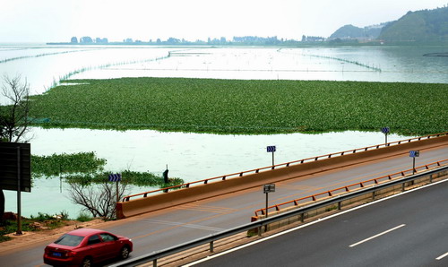 'Lake killer' to heal Dianchi Lake