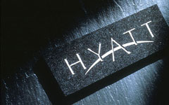 Accor eyes move into scenic sites