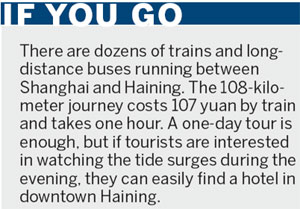 Amazing surge in popularity