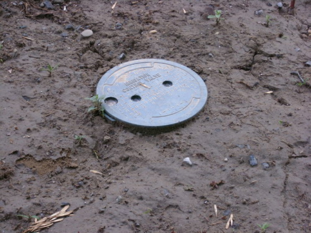 Photographer impresses netizens with 'Beijing in Details'