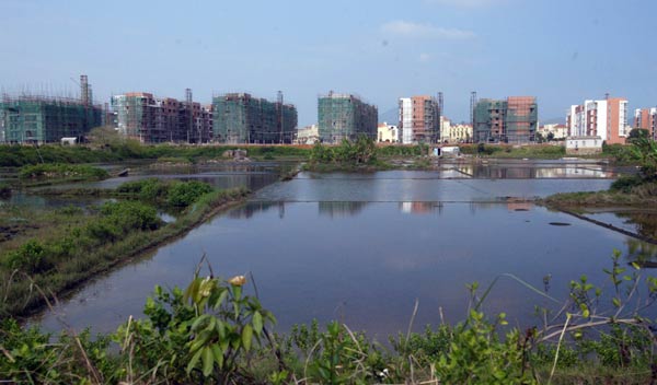 Growing pains on road to urbanization