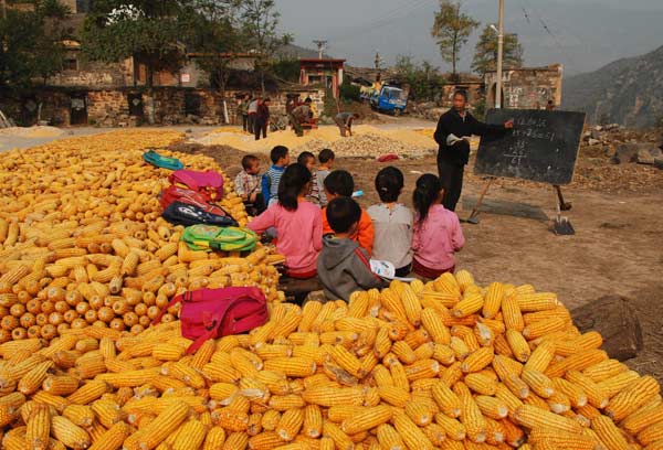 Zhang Baofu teaches many students in a cornfield in Xiaodianhe village outside Henan province's Xinxiang city because the school is in a remote mountainous area.  Saluting rural teachers