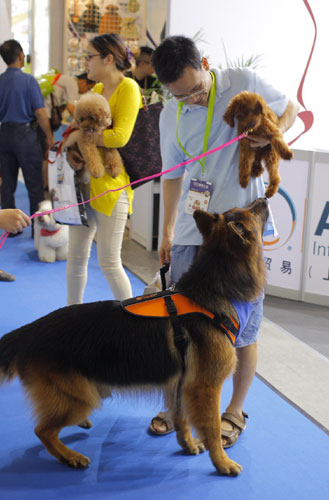 Animal lovers dote on furry families at fair