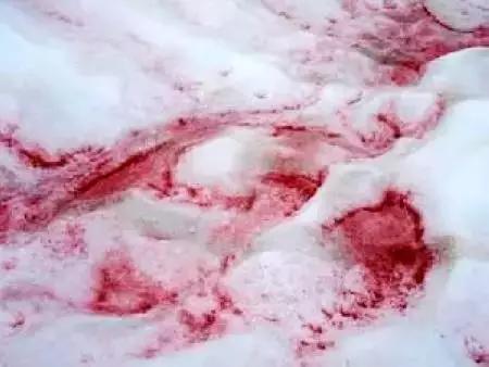 Tibet's most elusive mysteries