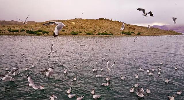 Nine holy lakes in Tibet
