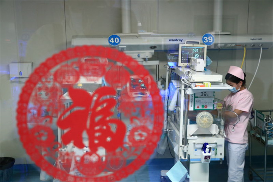 New year, new life: First babies of the Year of the Rooster