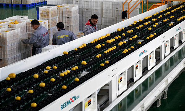 How to prosper when life gives you lemons