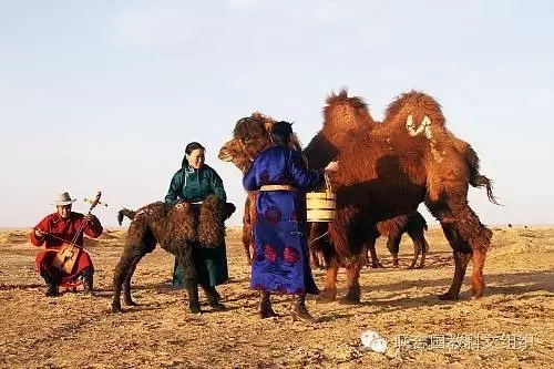 蒙古非物質(zhì)文化遺產(chǎn)數(shù)字化TOT培訓(xùn)班:開啟建立蒙古國(guó)家非物質(zhì)文化遺產(chǎn)清單與電子數(shù)據(jù)庫(kù)的第一步