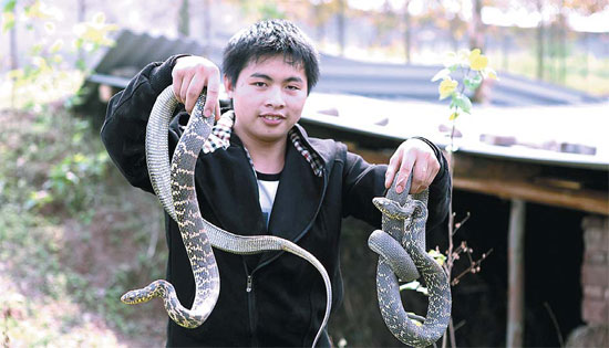 Taking a bite out of the market for snakes