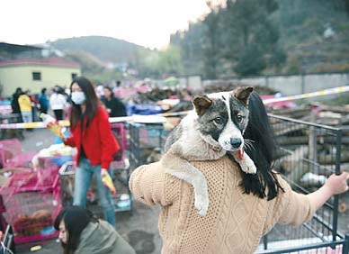 Truck loaded with dogs stopped by animal activists