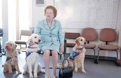 The handbag made the lady