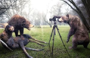 Capturing real moment