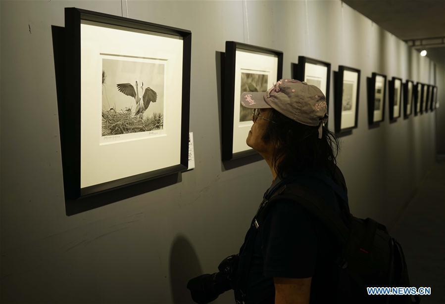 Highlights of 17th Pingyao Int'l Photography Festival