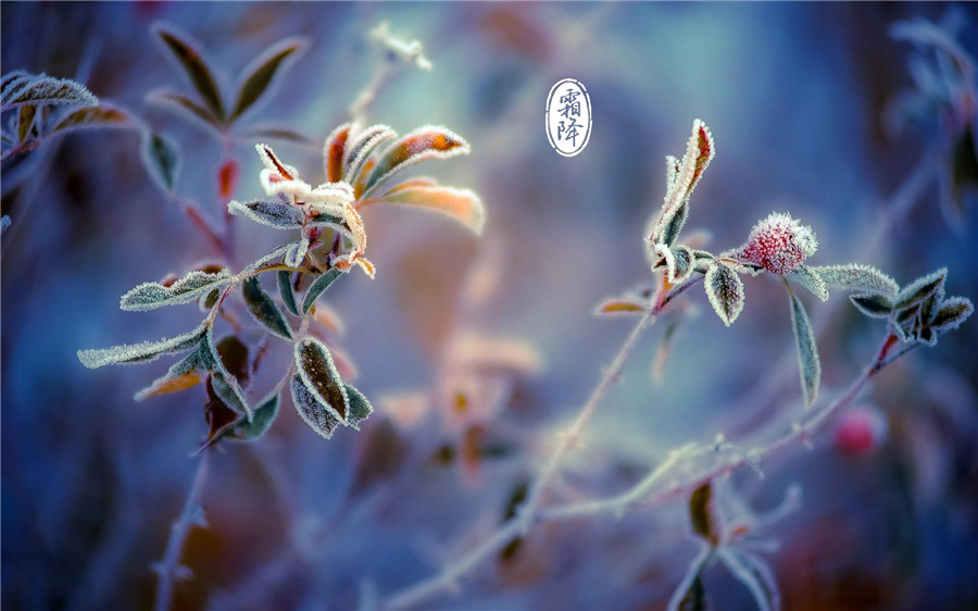 Culture Insider: 8 things you may not know about Frost's Descent