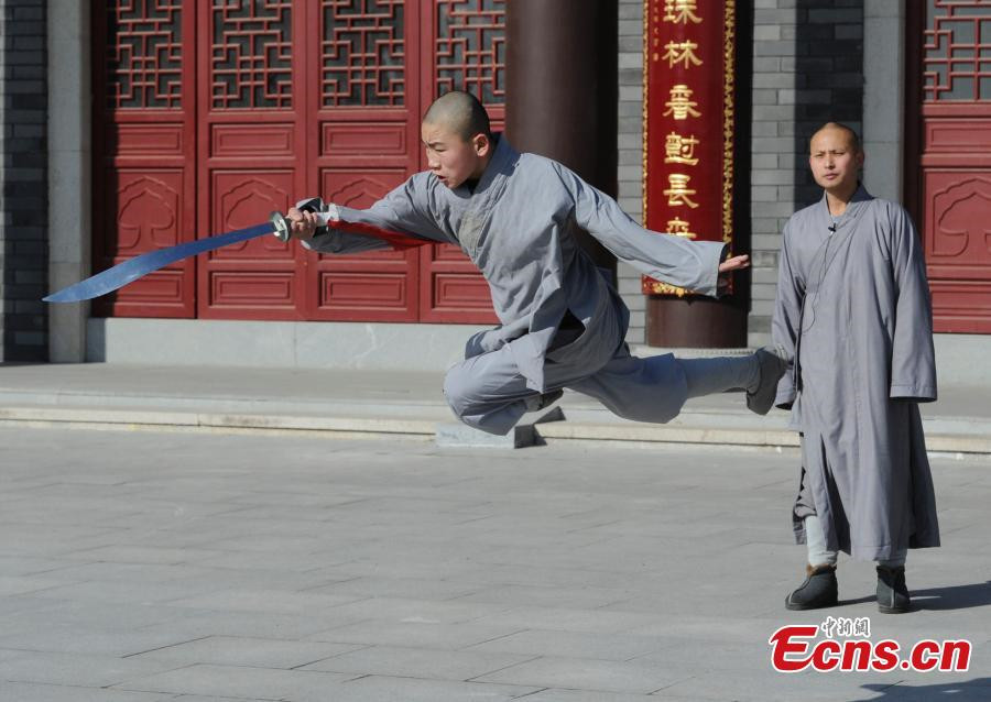 Young monks learn kungfu in NE China temple