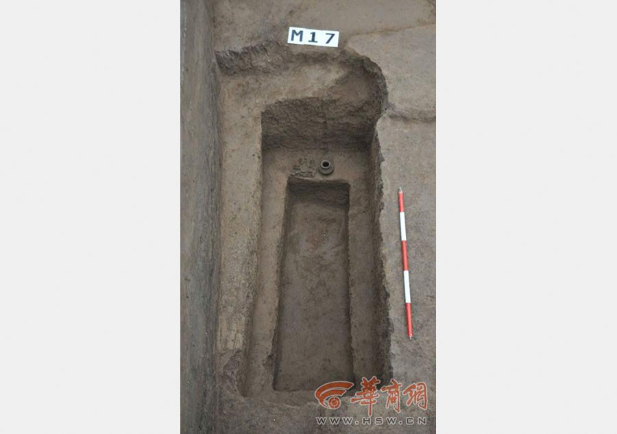 Crocodile bone plates found in Haojing ruins