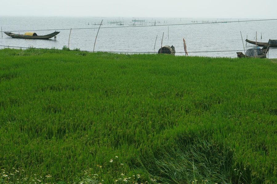 Vietnam as seen through Chinese photographers' lenses