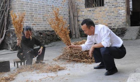 大學(xué)生“村官”邢鐳：山村群眾的貼心人