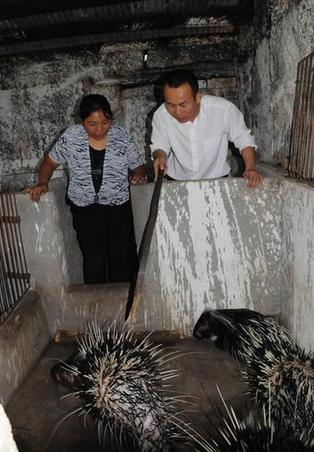 大學(xué)生“村官”邢鐳：山村群眾的貼心人