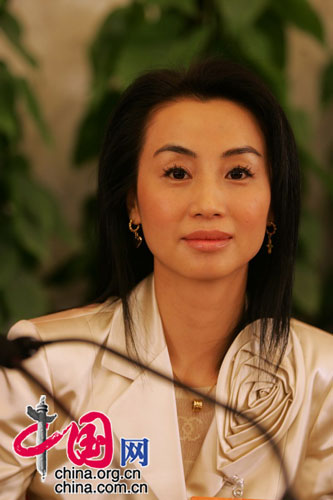 臺(tái)媒熱炒兩會(huì)“最美政協(xié)委員”