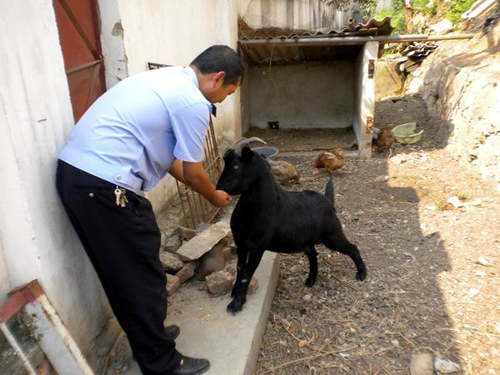 昆明警營“菜園文化”創(chuàng)特色