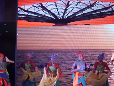 第三屆南洋文化節(jié)鷺島開幕