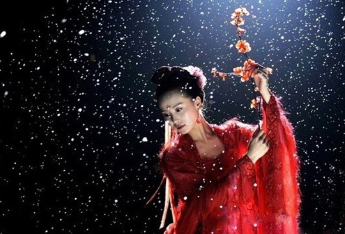 先樂后悲 清穿大戲步步演繹女子柔情阿哥驚心