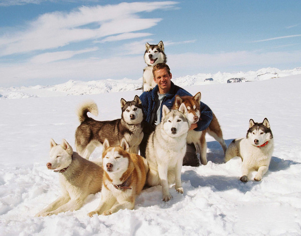 盤點30只最讓人難忘狗狗角色：萌度絕不輸俊介