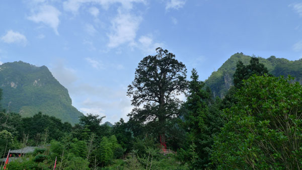 走進避暑勝地神農(nóng)架(組圖)