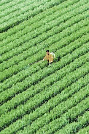 保糧食 為國(guó)家