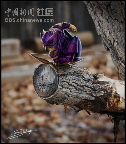 元芳很忙!細(xì)數(shù)那些一個(gè)不小心就火起來(lái)的“忙人”