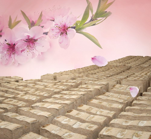 桃花春曲的制作過(guò)程