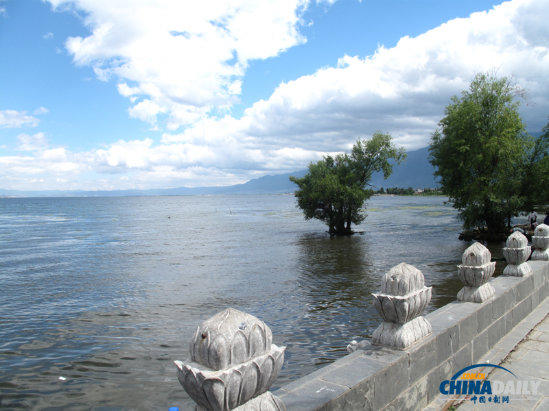洱海月濕地公園 讓大理人民的“母親湖”洱海不再憔悴