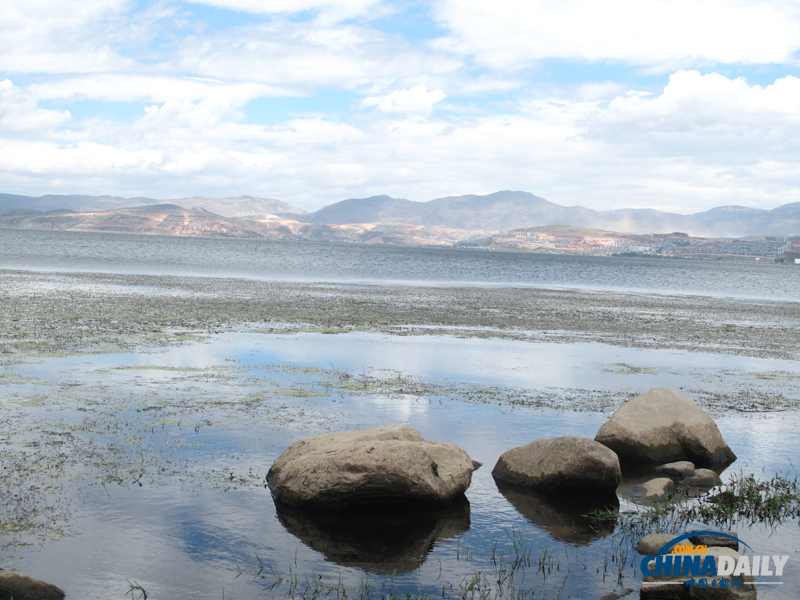 洱海月濕地公園 讓大理人民的“母親湖”洱海不再憔悴