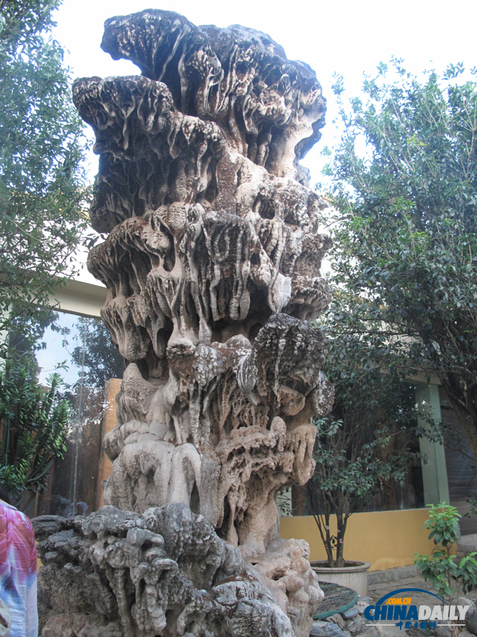 鐘靈毓秀 天下奇觀——勐巴娜西珍奇園