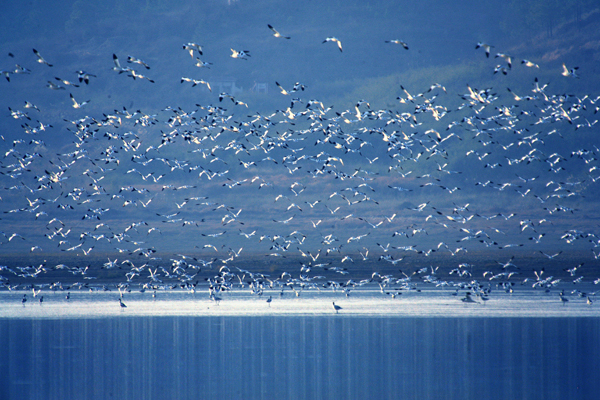 鄱陽(yáng)：風(fēng)光旖旎 詩(shī)情畫(huà)意