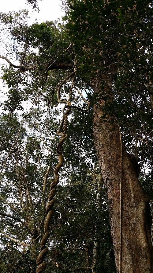 海南樂東地產(chǎn)經(jīng)濟(jì)突顯獨(dú)特的自然環(huán)境優(yōu)勢(shì)