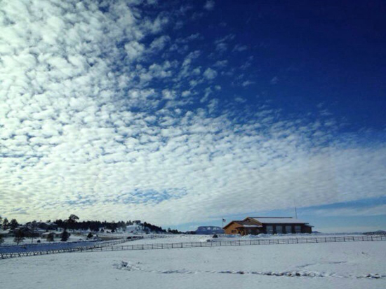 美國(guó)、歐洲、菲律賓 天下華人共有一個(gè)“春節(jié)夢(mèng)”