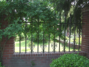 “上海威尼斯”和“滬郊好萊塢”:朱家角