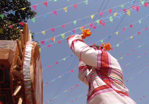 特懋克節(jié)：擂動基諾山寨