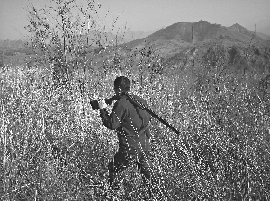 北京密云城郊狩獵場(chǎng)沉寂十年欲重開 封地六千畝