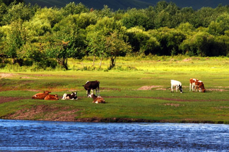 大興安嶺30項(xiàng)千萬(wàn)以上項(xiàng)目簽約
