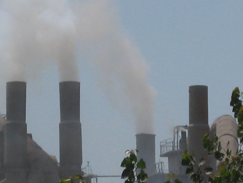 碳交易資源開發(fā)太粗放國(guó)外吃