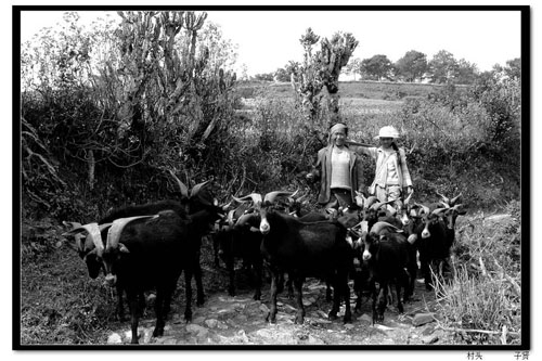 居住在云南南澗彝族村落的老人（組圖）