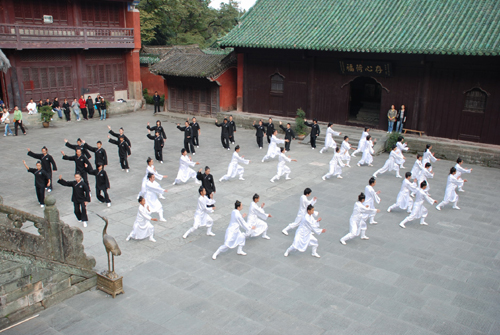 中加合拍紀(jì)錄片 詮釋《太極》文化內(nèi)涵[圖]