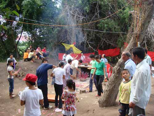 網(wǎng)談：海南這棵神話了的“觀音樹(shù)”該不該砍?