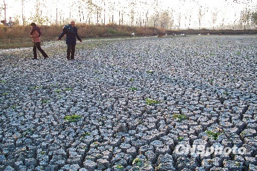 河南開封天干少雨旱情嚴重
