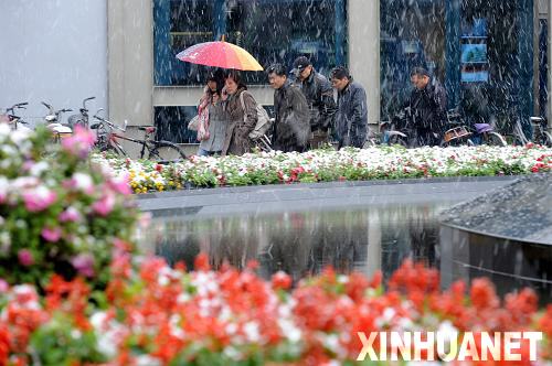 長江以南衣食住行全緊張 湖北百萬群眾受災