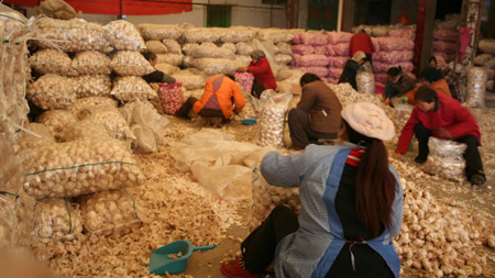 2009：瘋狂的大蒜 價(jià)格翻了52倍！